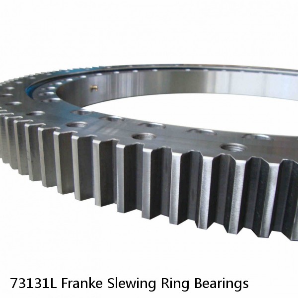 73131L Franke Slewing Ring Bearings #1 small image