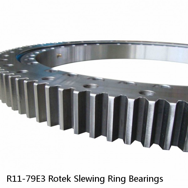 R11-79E3 Rotek Slewing Ring Bearings #1 small image