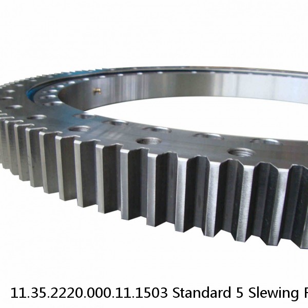 11.35.2220.000.11.1503 Standard 5 Slewing Ring Bearings #1 small image