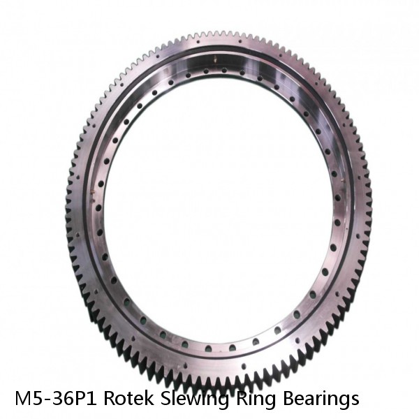 M5-36P1 Rotek Slewing Ring Bearings #1 small image