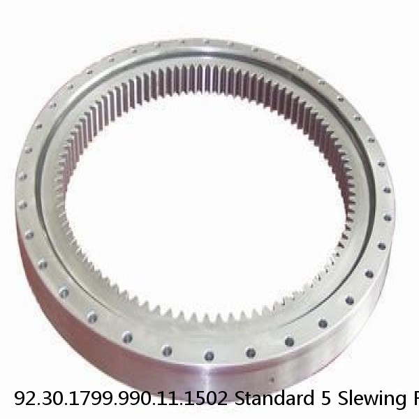 92.30.1799.990.11.1502 Standard 5 Slewing Ring Bearings #1 small image