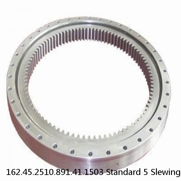 162.45.2510.891.41.1503 Standard 5 Slewing Ring Bearings #1 small image