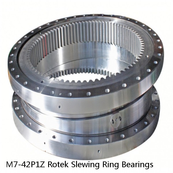 M7-42P1Z Rotek Slewing Ring Bearings #1 small image