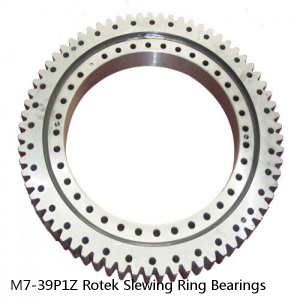 M7-39P1Z Rotek Slewing Ring Bearings #1 small image
