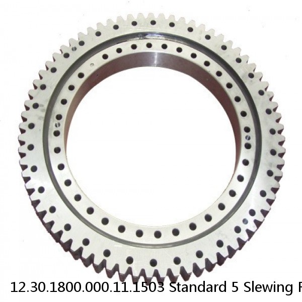 12.30.1800.000.11.1503 Standard 5 Slewing Ring Bearings #1 small image