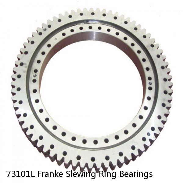 73101L Franke Slewing Ring Bearings #1 image