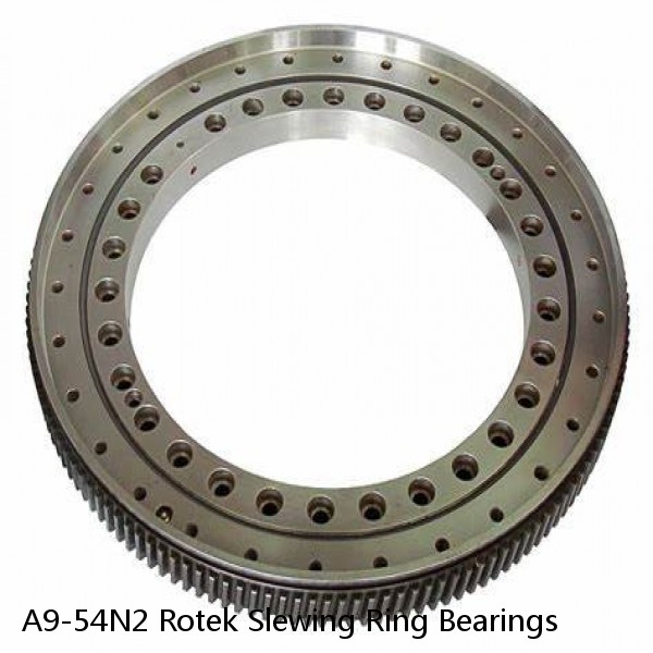 A9-54N2 Rotek Slewing Ring Bearings #1 image