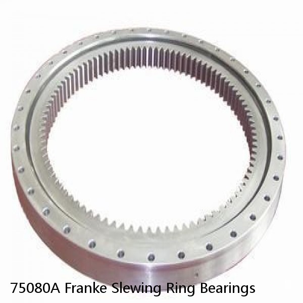 75080A Franke Slewing Ring Bearings #1 image
