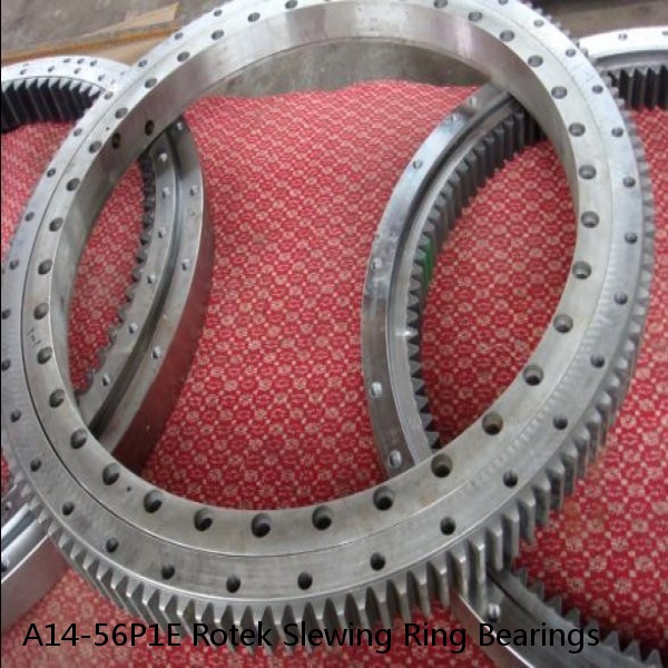A14-56P1E Rotek Slewing Ring Bearings #1 image