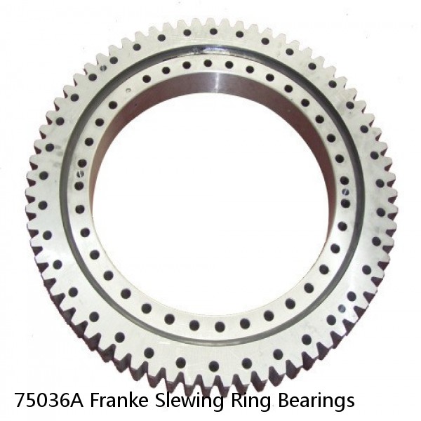 75036A Franke Slewing Ring Bearings #1 image