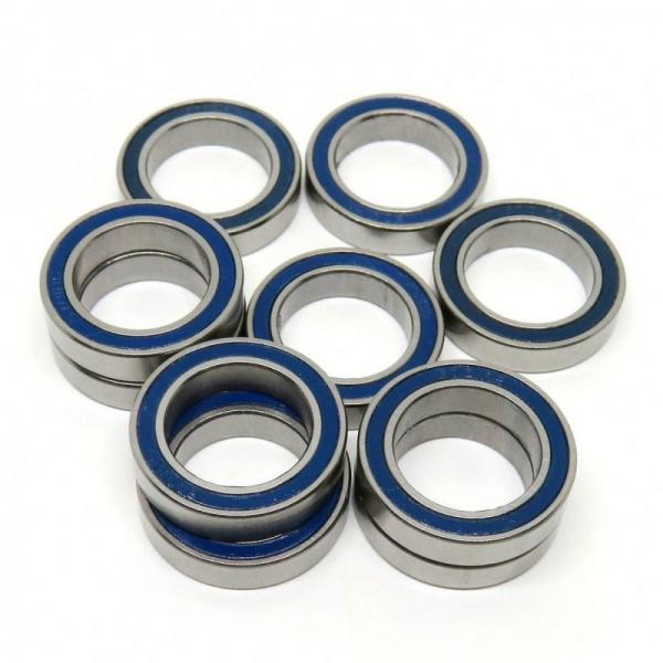 120 mm x 215 mm x 58 mm  NACHI NJ 2224 cylindrical roller bearings #1 image